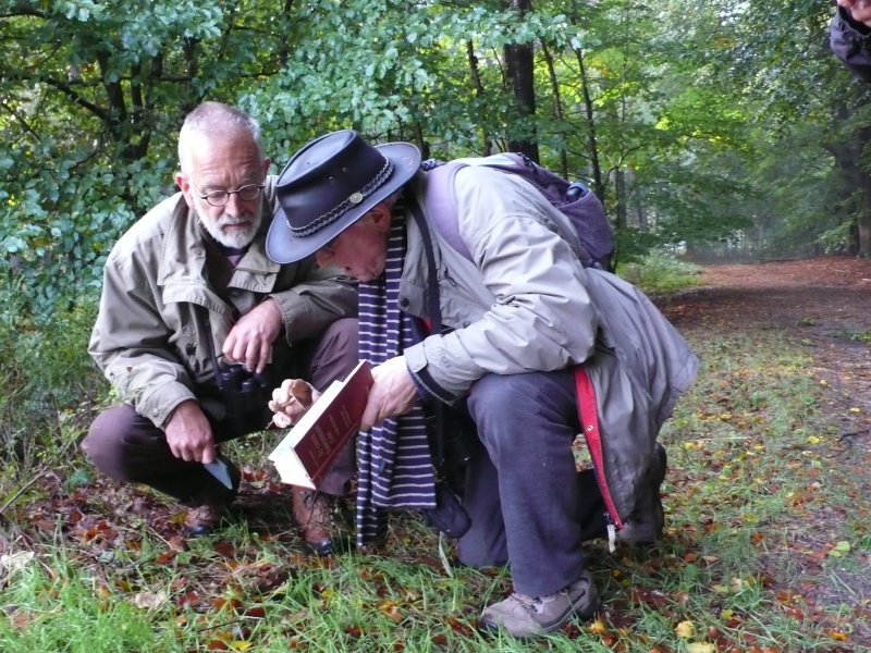 Frans en Adri Noordhout (2013)